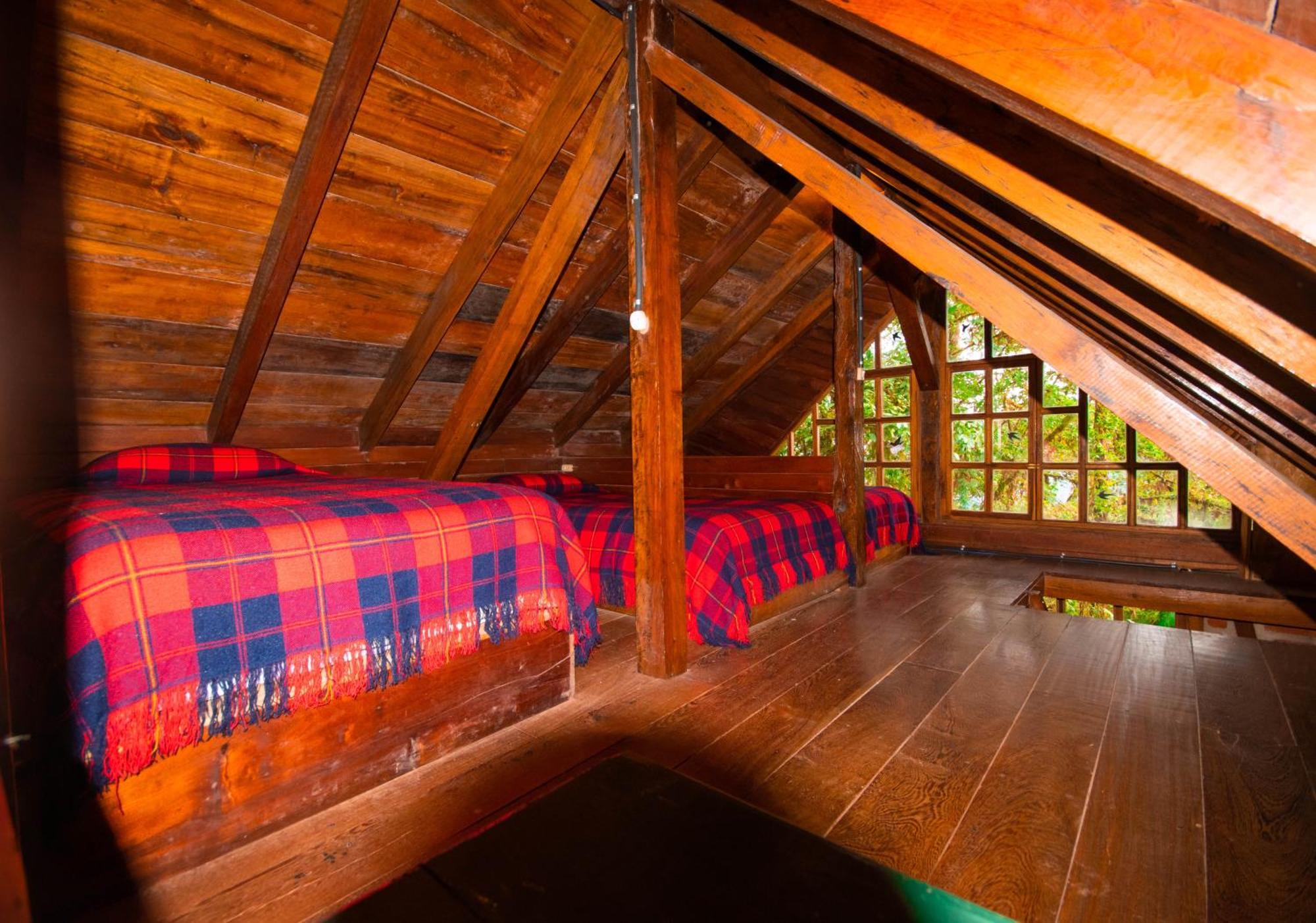 Bellavista Cloud Forest Lodge & Private Protected Area Tandayapa Exteriör bild