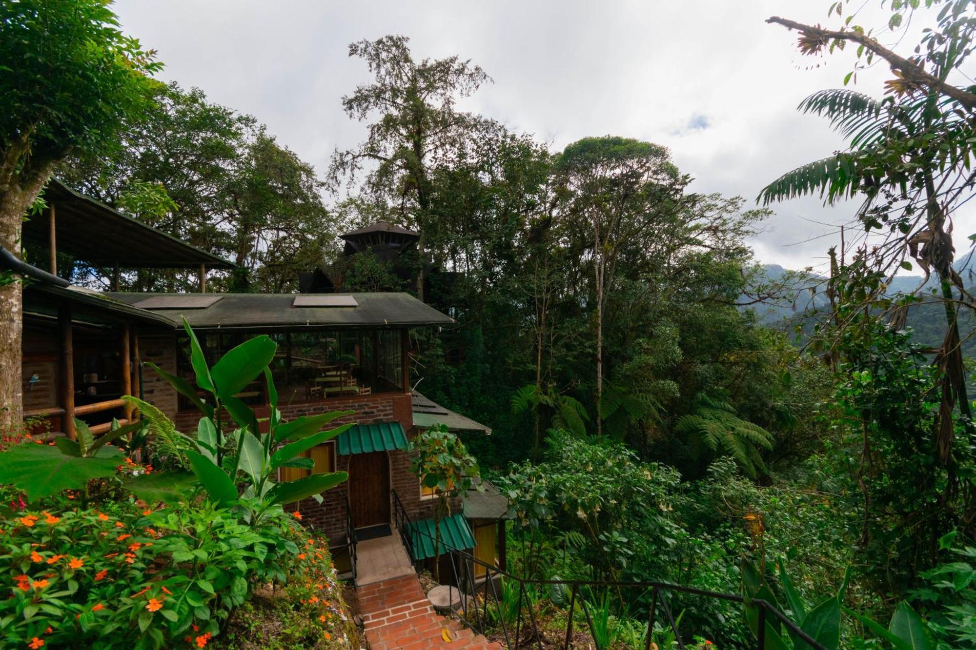 Bellavista Cloud Forest Lodge & Private Protected Area Tandayapa Exteriör bild