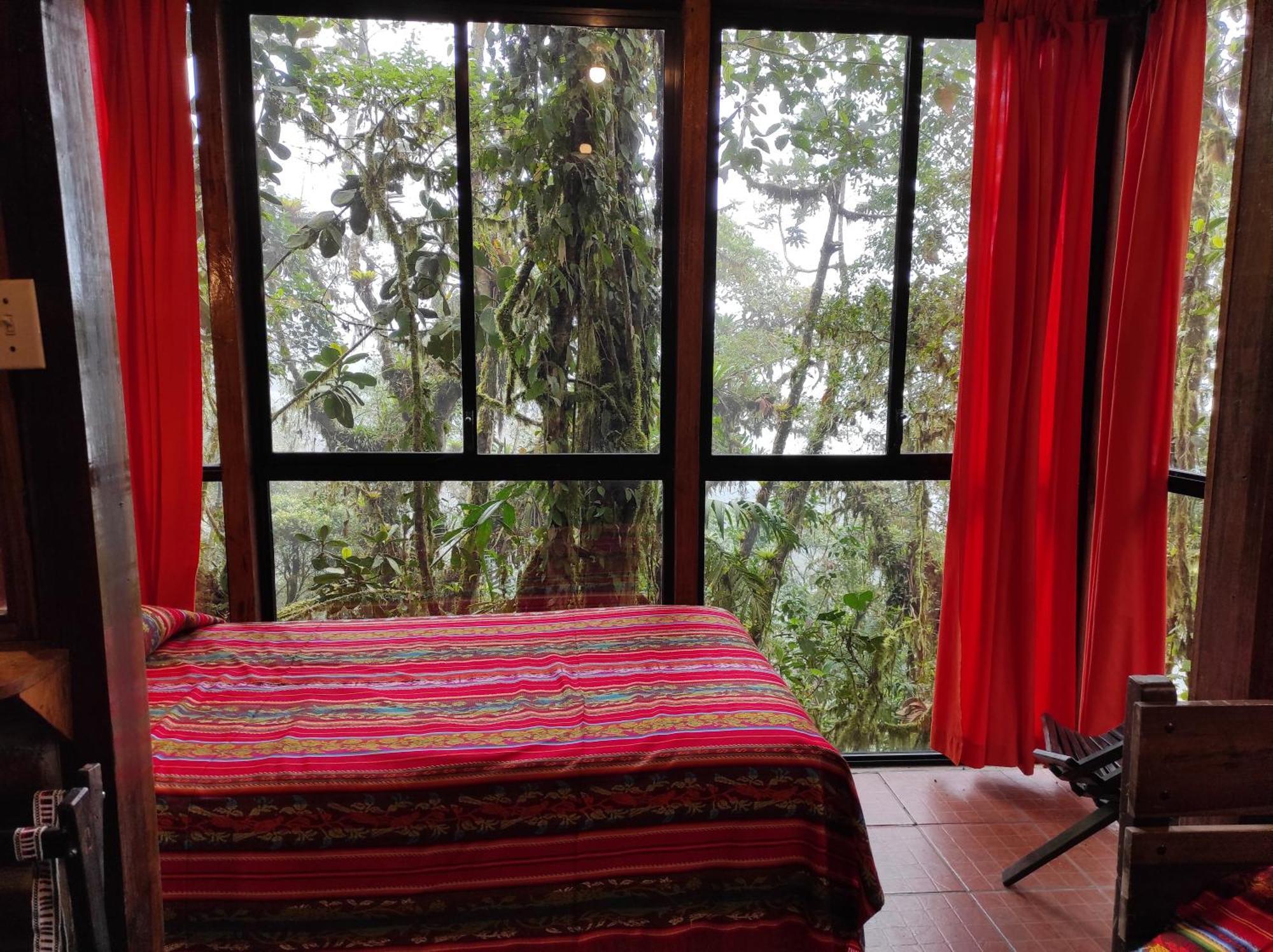 Bellavista Cloud Forest Lodge & Private Protected Area Tandayapa Exteriör bild