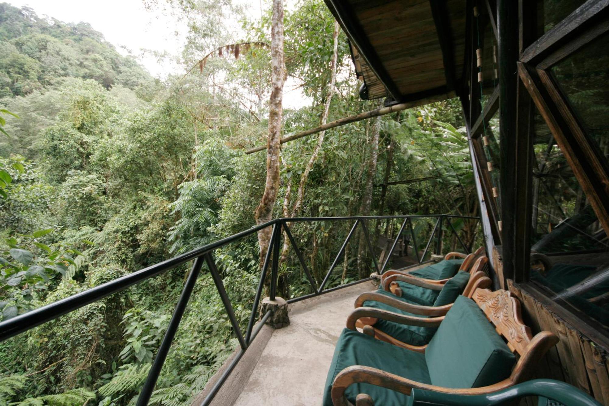 Bellavista Cloud Forest Lodge & Private Protected Area Tandayapa Exteriör bild