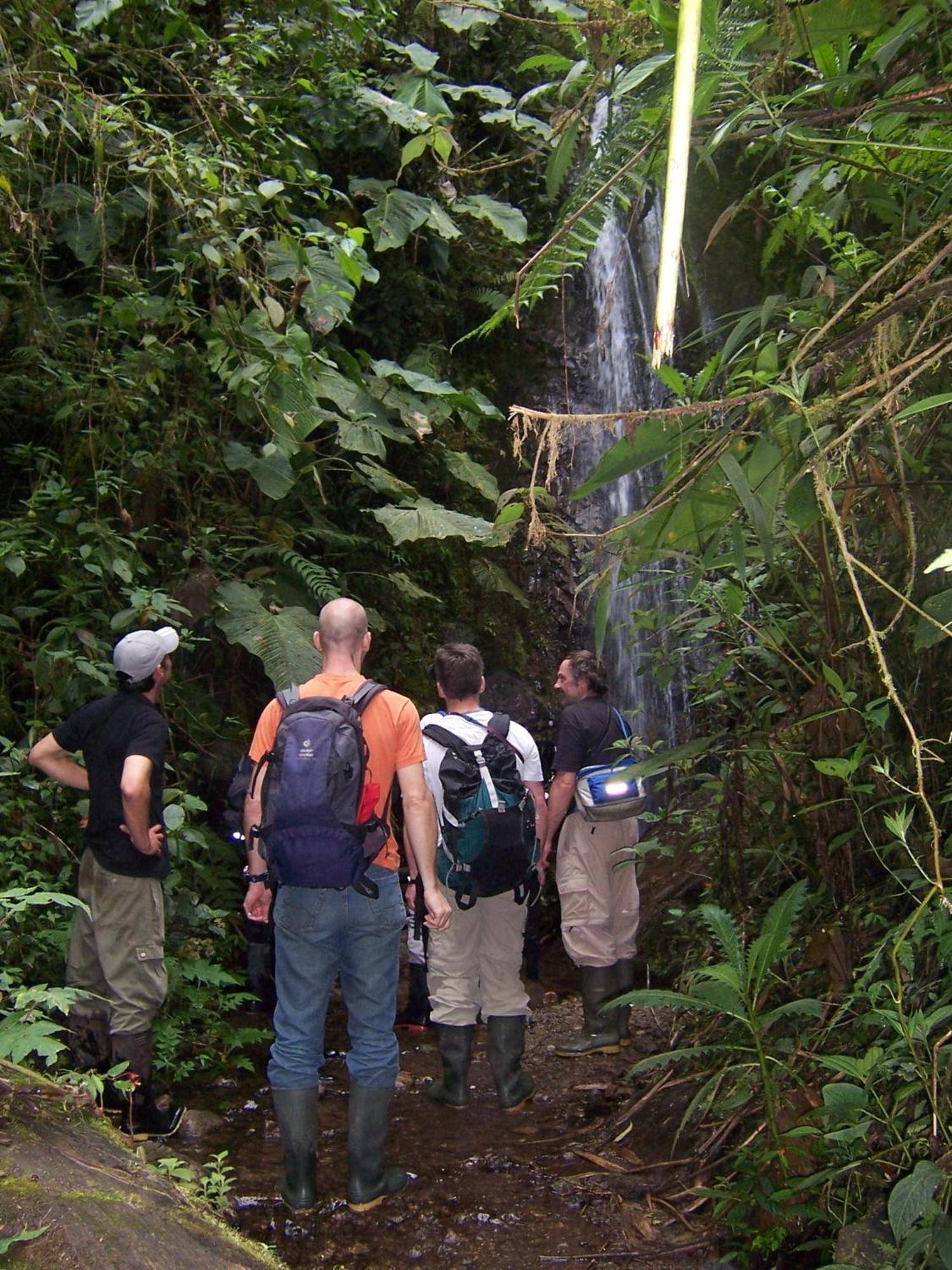 Bellavista Cloud Forest Lodge & Private Protected Area Tandayapa Exteriör bild
