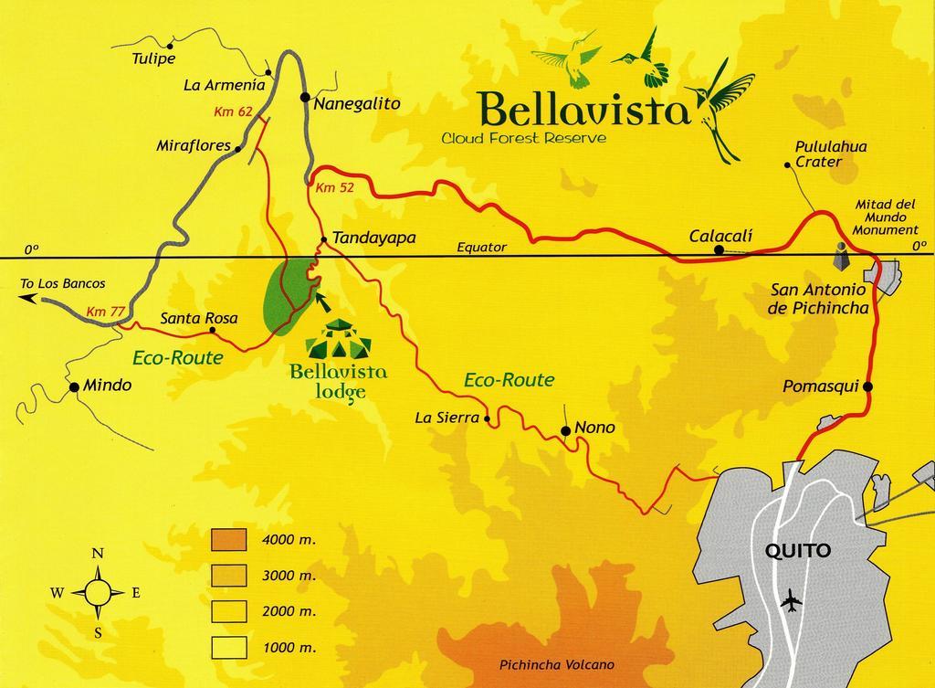 Bellavista Cloud Forest Lodge & Private Protected Area Tandayapa Exteriör bild