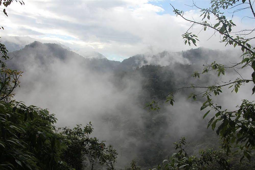 Bellavista Cloud Forest Lodge & Private Protected Area Tandayapa Exteriör bild