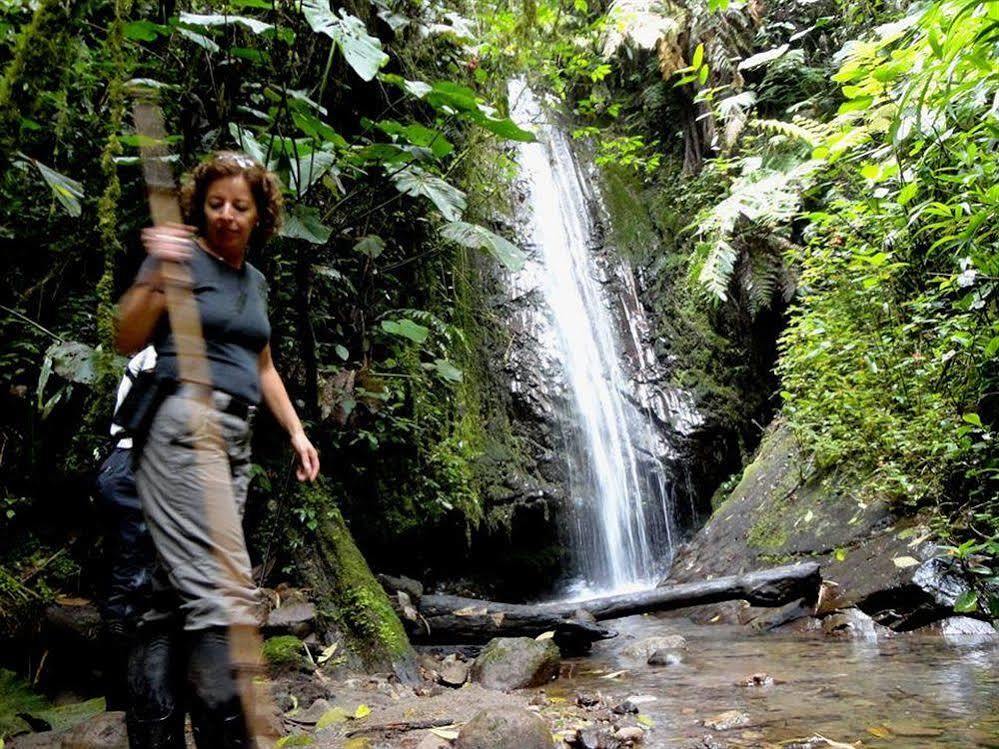 Bellavista Cloud Forest Lodge & Private Protected Area Tandayapa Exteriör bild