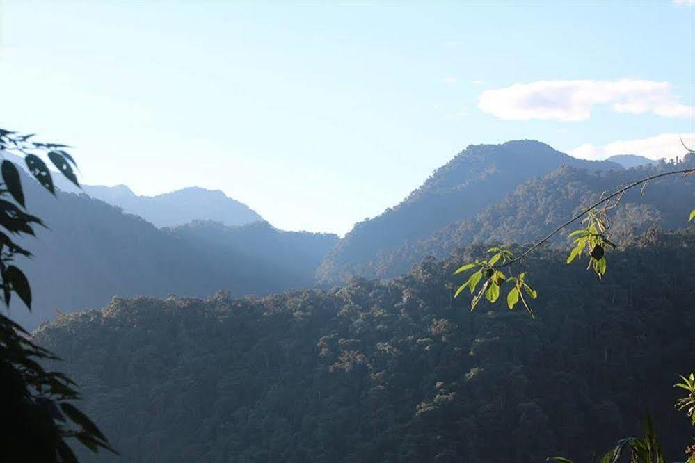 Bellavista Cloud Forest Lodge & Private Protected Area Tandayapa Exteriör bild